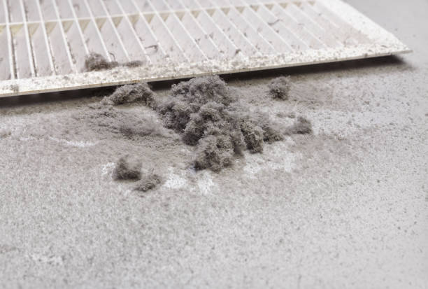 Best Home Air Vent Cleaning  in Ransomville, NY