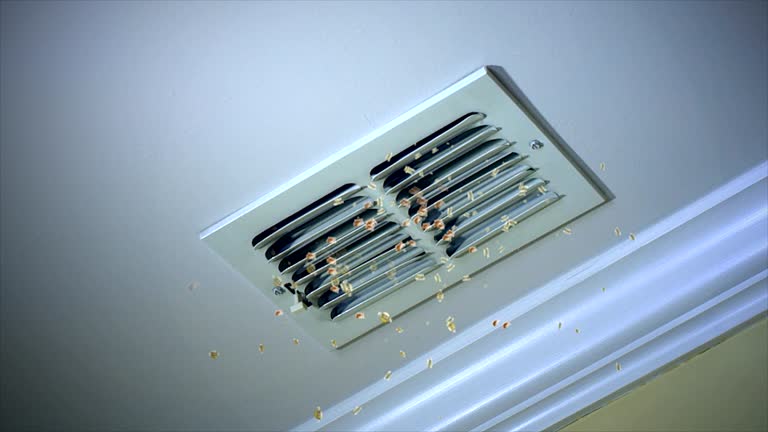 Best HVAC Maintenance and Cleaning  in Ransomville, NY