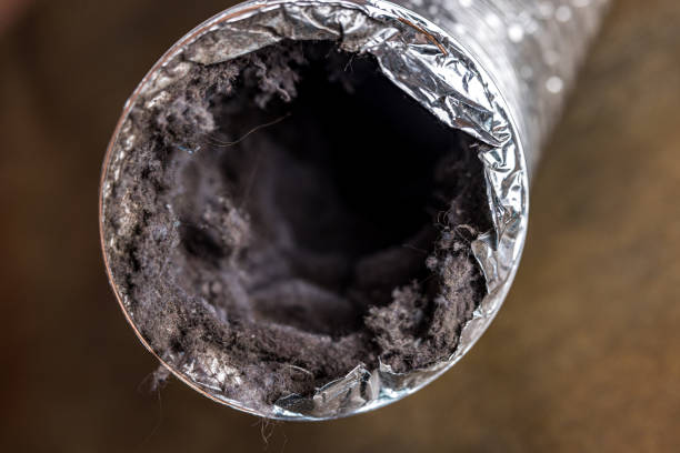 Best Dryer Vent Cleaning Services  in Ransomville, NY